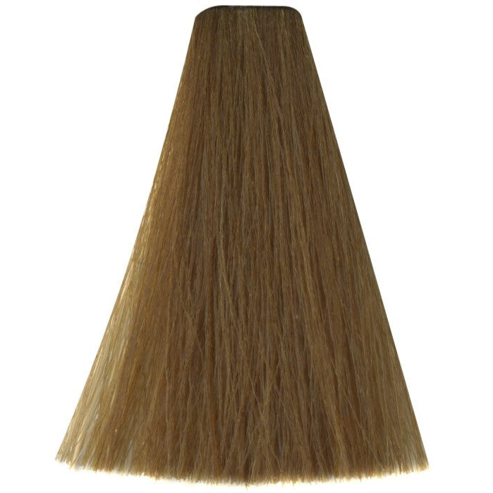 Art Absolute 8/03 - Natural Golden Light Blonde (100ml)